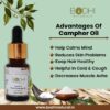 camphor essential oil