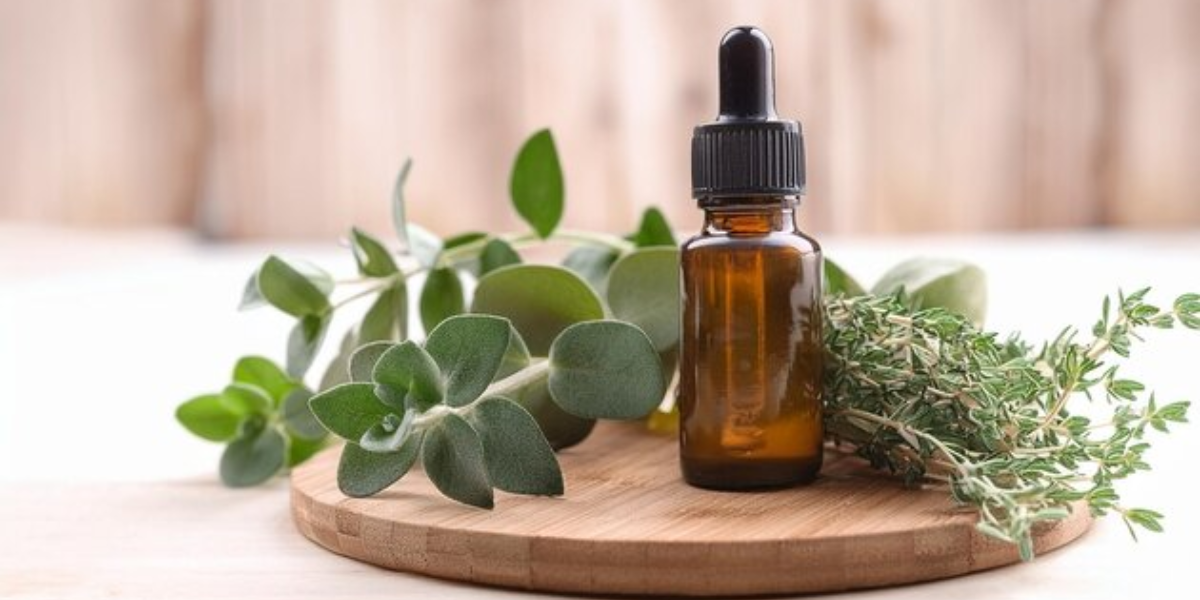 The Advantages Of Eucalyptus Essential Oil For Skin