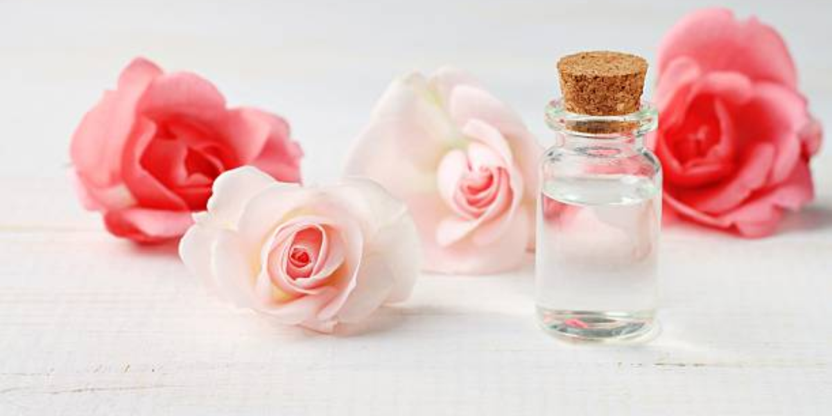 Embrace The Power Of Rose Water With Bodhi Naturals