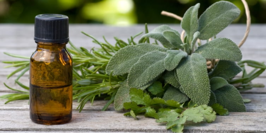 Geranium Oil Benefits: Skin Care & Emotional Support​