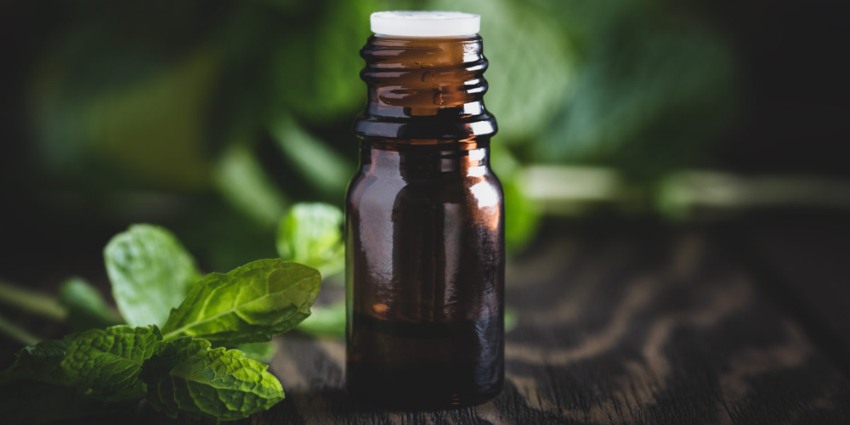 Tea Tree Essential Oil: A Must-Have For Skin & Immune Support