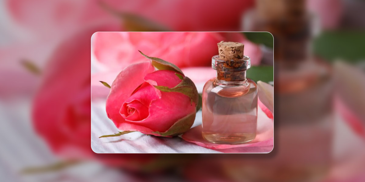 Rose Water Toner: The Perfect Addition To Your Skincare Routine