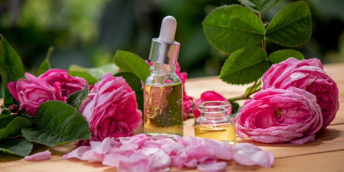 Best Essential Oils For Skin Ageing