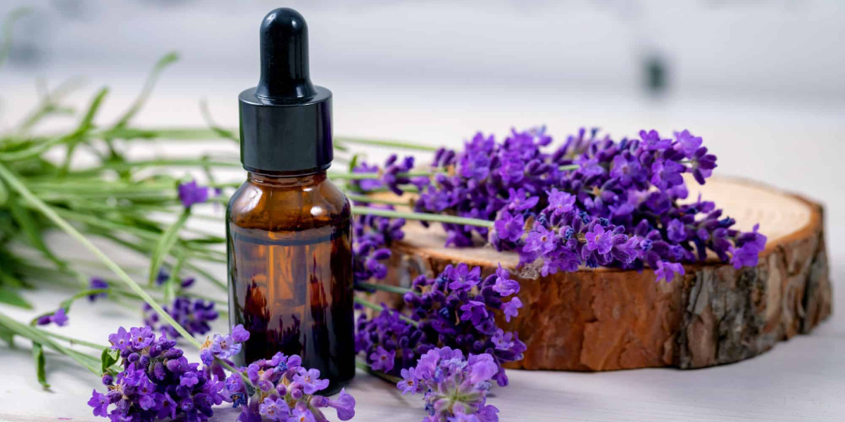 Best Lavender Essential Oil In India The Ultimate Relaxation Companion