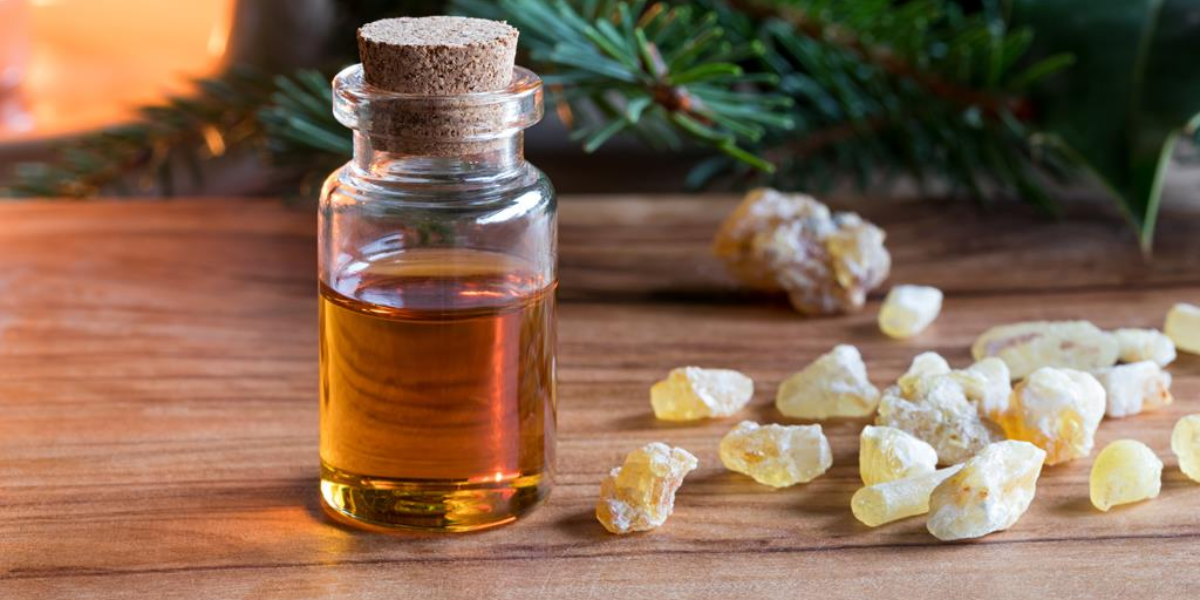 Frankincense Diffuser Oil: The Ancient Elixir For Mind & Body