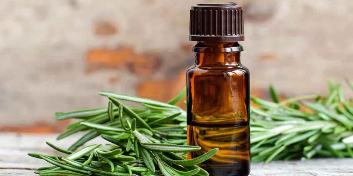 Why Essential Oils Are Important For Hair Growth