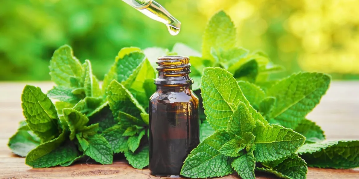 Essential Oils For Acne Skin