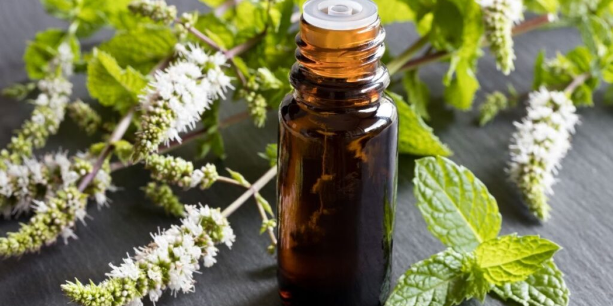 Essential Oil For Breathing Issues