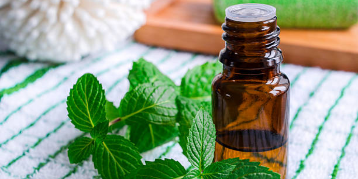 Moksha: Best Essential Oil Brand For Organic Oils