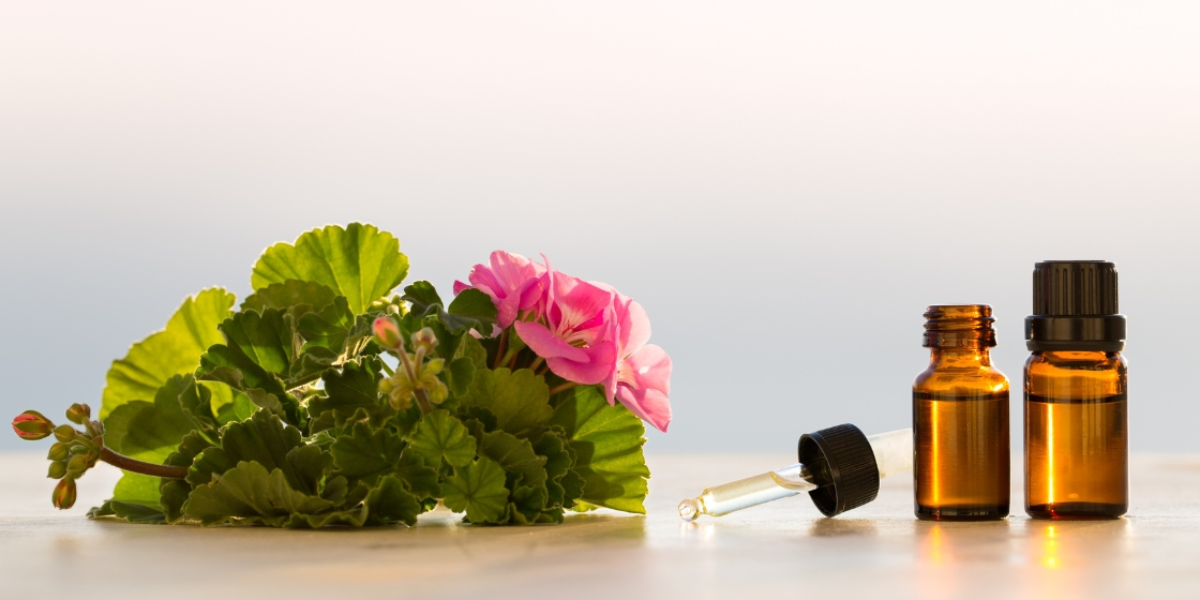 Best Home Diffuser: A Stylish Addition To Your Décor