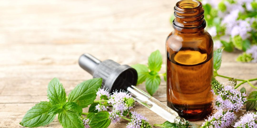 The Best Essential Oils In India: Rosemary & Sage Oils & Their Benefits