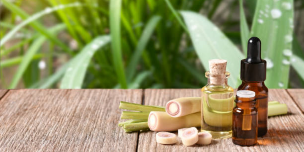 The Ultimate Guide To Lemongrass Diffuser Oil: Benefits & Uses