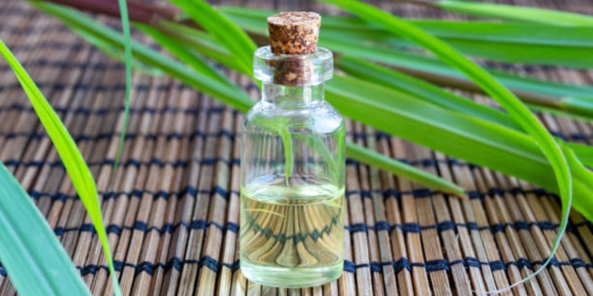 Lemongrass Aroma Oil Uses In Home Cleaning