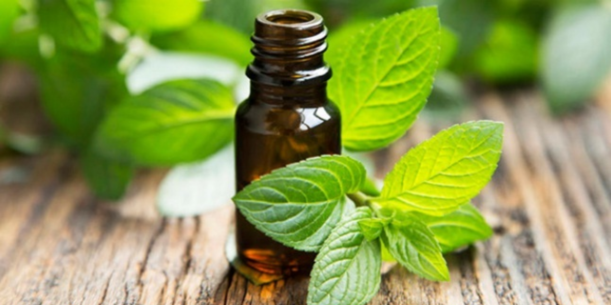 Essential Oils For Acne Prone Skin