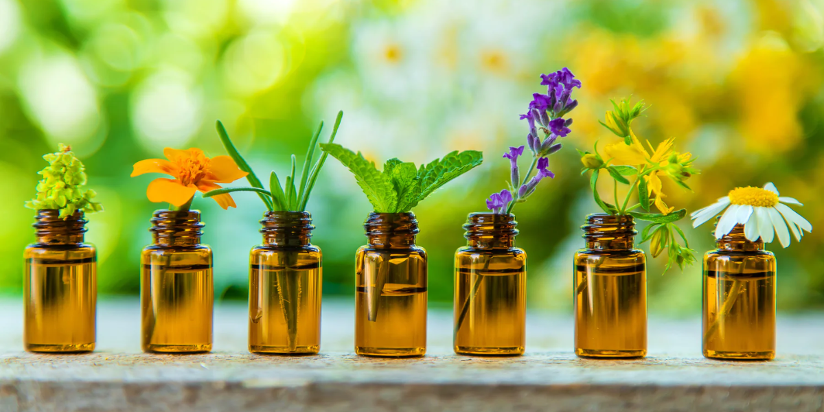 Best Oil Diffuser: Maximizing Benefits With Essential Oils