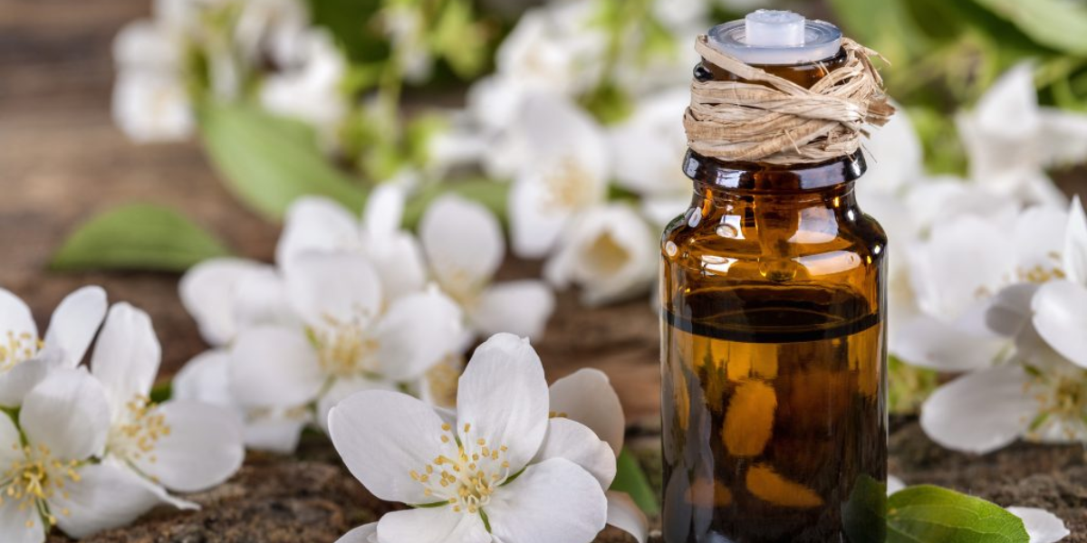 Best Essential Oils For Oily & Sensitive Skin