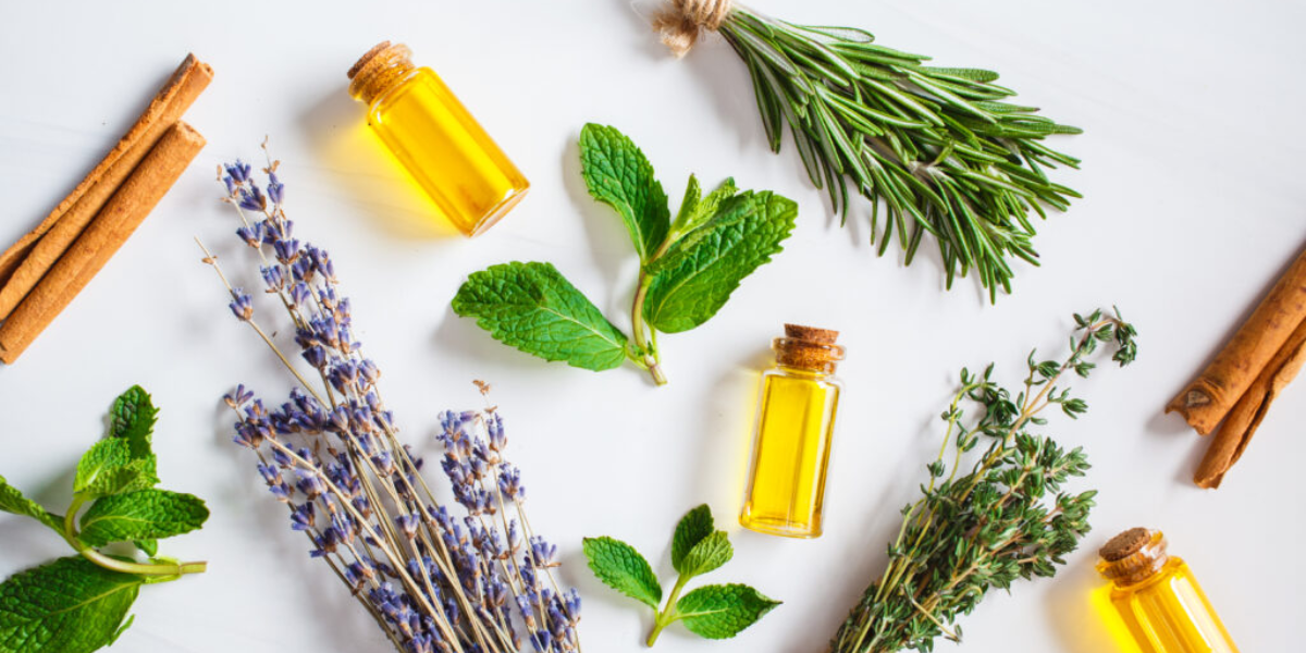 The Diffuser Oil Best Blends For Your Home