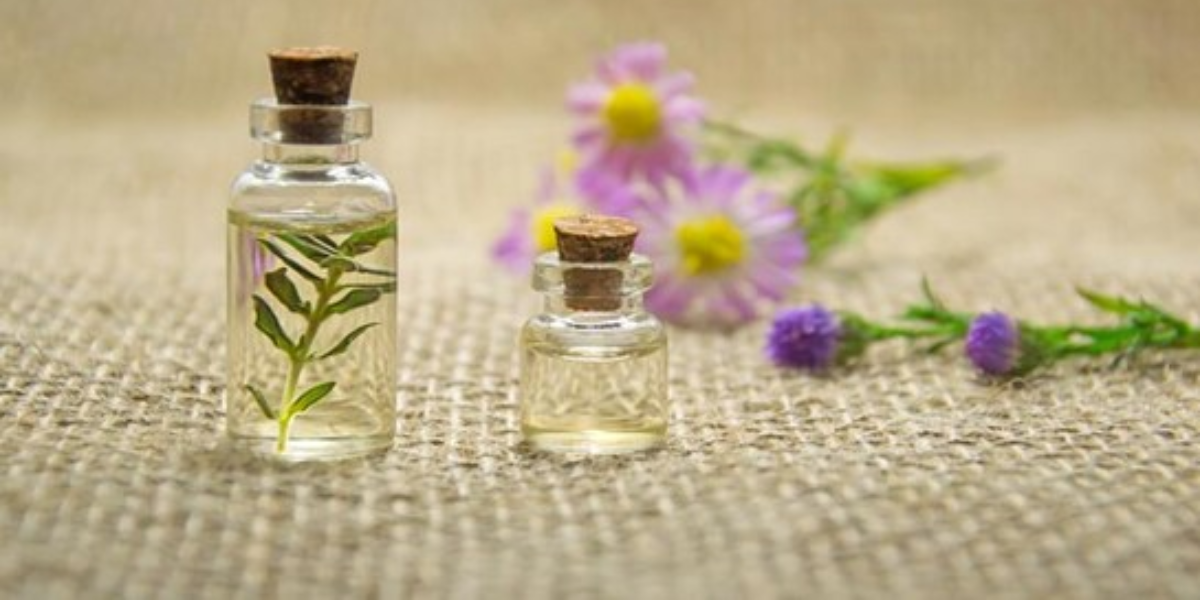 Balancing Beauty With Jojoba Carrier Oil Lightweight & Skin-Loving