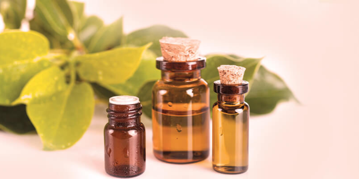 Camphor Essential Oil – What Makes It Special