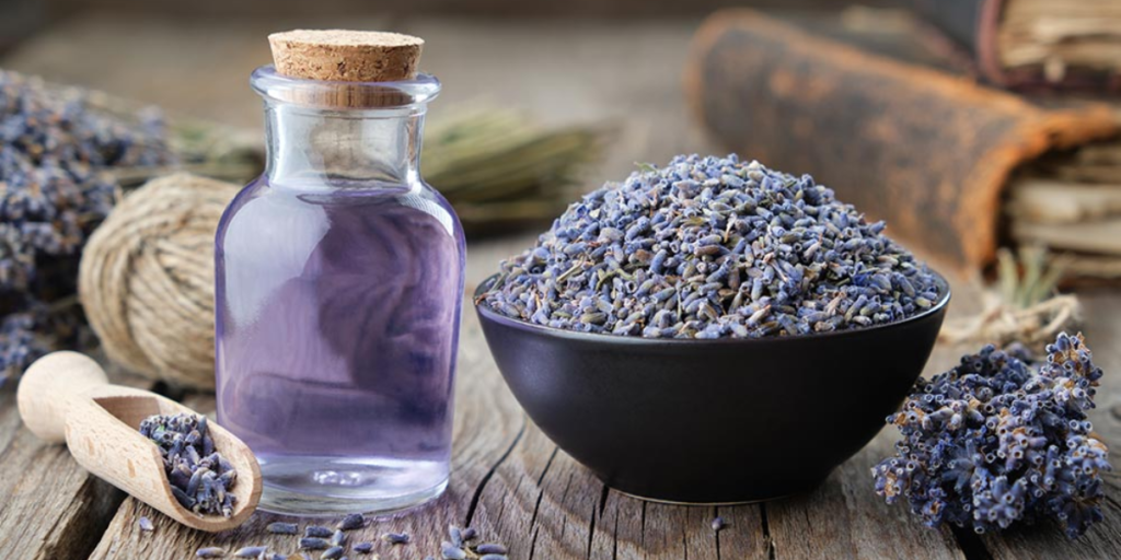 Best Essential Oils For Meditation & Yoga: Uplift Your Mind & Spirit