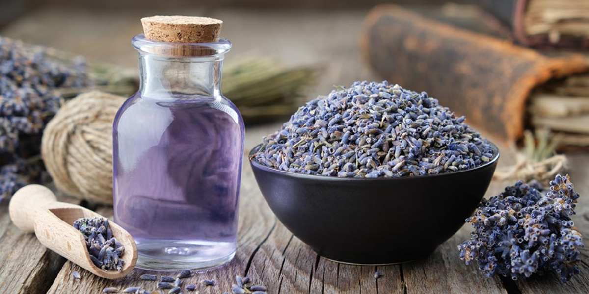 Best Essential Oils For Meditation & Yoga: Uplift Your Mind & Spirit