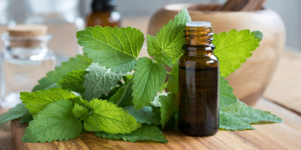 Best Essential Oils For Cold & Sinus, Flu & Breathing Issues