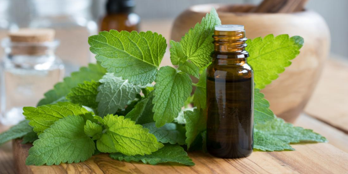 Best Essential Oils For Cold & Sinus, Flu & Breathing Issues